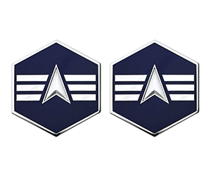 Space Force E4 Specialist 4 Metal Rank Insignia